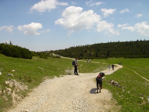 Rax, Weg z.Hoellentalaussicht u.z.Ottohaus.jpg