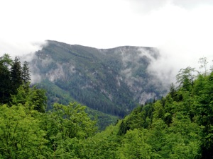 Ausblick, Nasswald.jpg