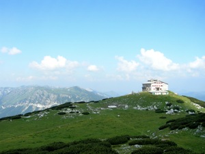 Habsburghaus.jpg