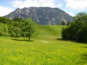 Conridweg, Wiesen.jpg