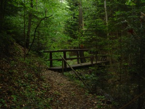 Conridweg, Bruecke.jpg