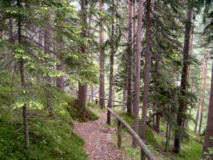 Weg Falkensteinhoehle.jpg