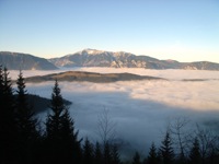 Schneeberg ueber dem Nebelmeer.jpg