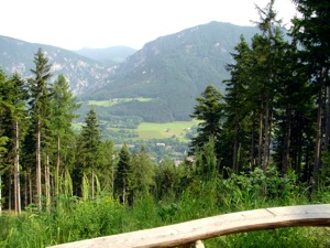 Rundwanderweg Aussicht.jpg