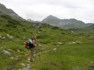 Ueber die Alm ....jpg