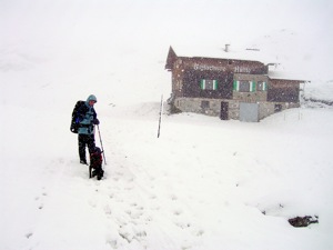 15 cm Schnee ueber Nacht.jpg
